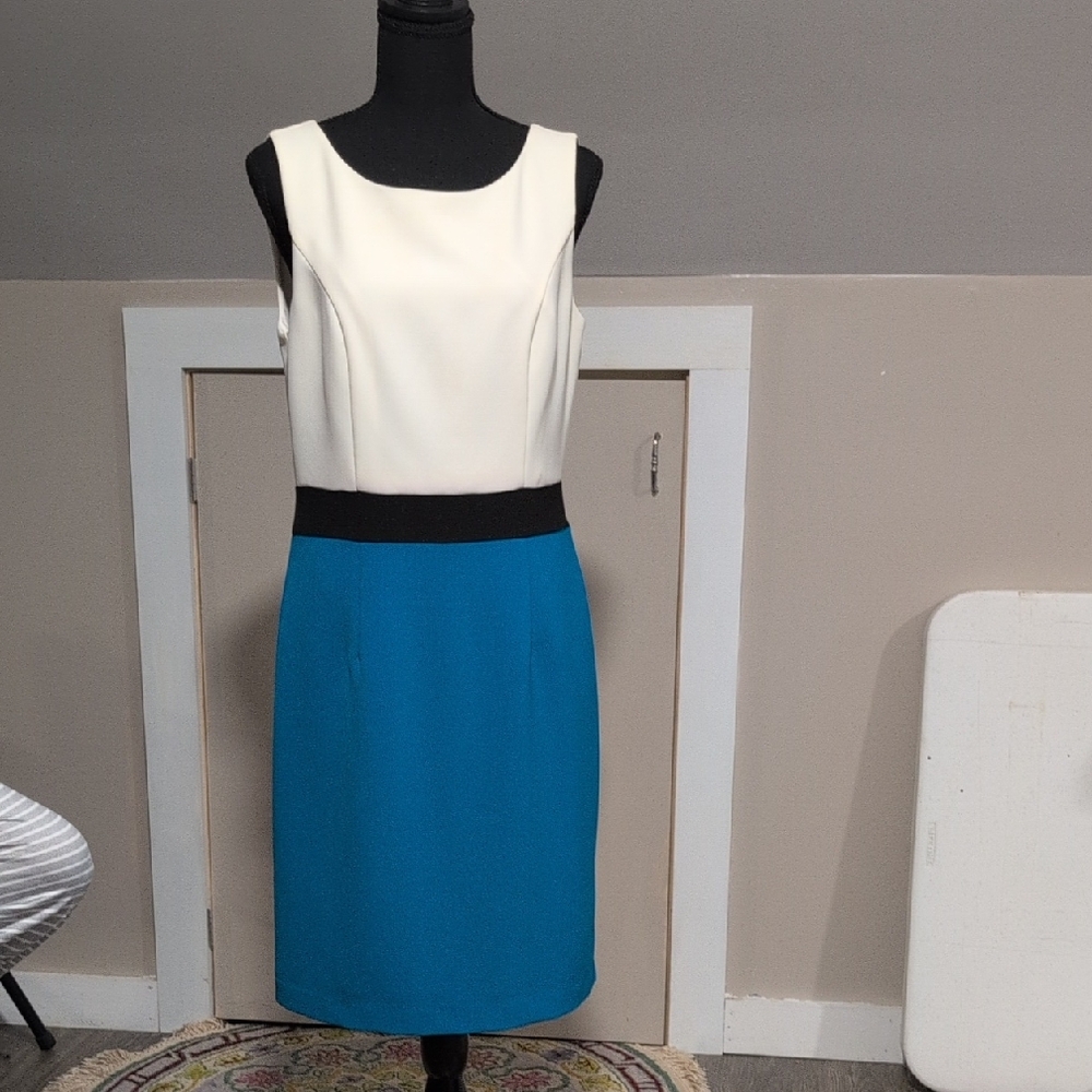 Banana Republic Women's Pencil Skirt in White and Blue